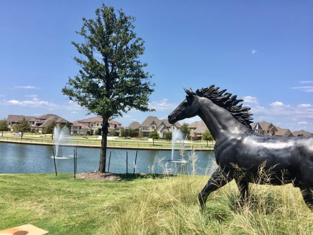 phillips-creek-ranch-frisco-pond-horses