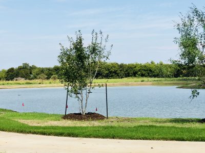 Sandbrock_Ranch_Aubrey_pond