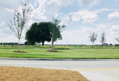 Winn_Ridge_Aubrey_greenbelt_scenic